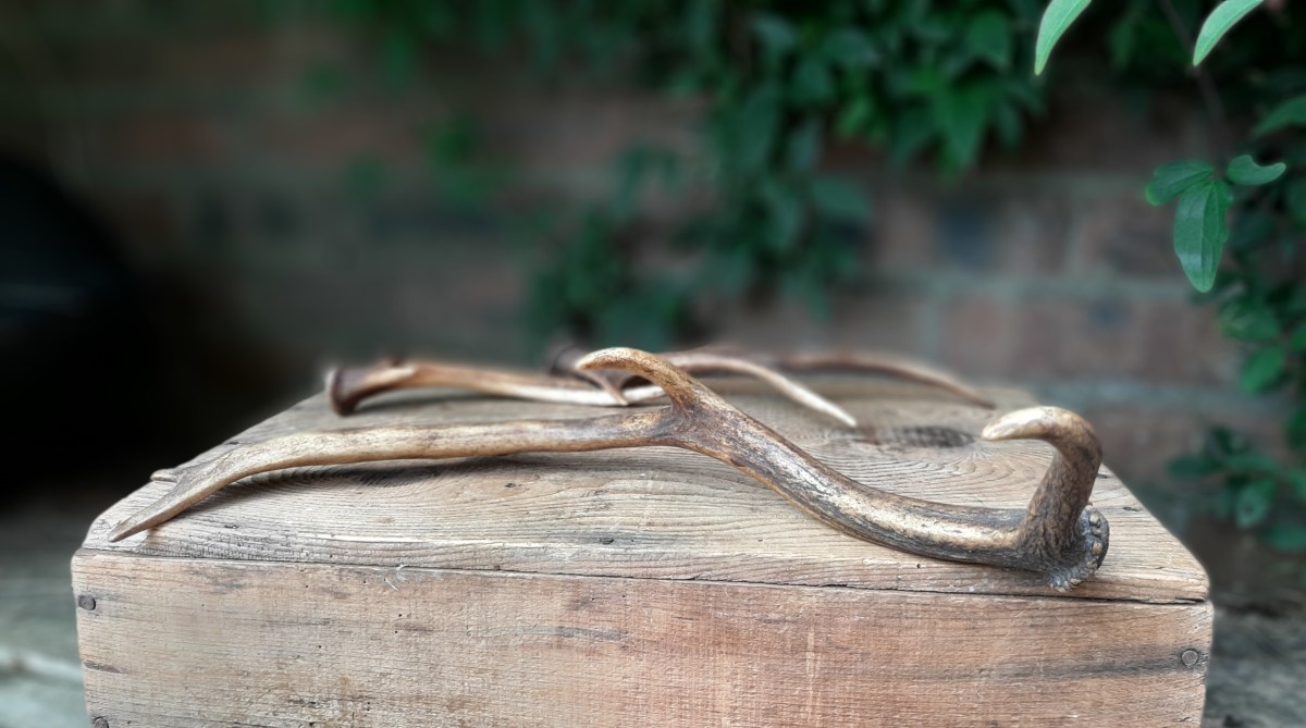 wedding venue decor hire scotland